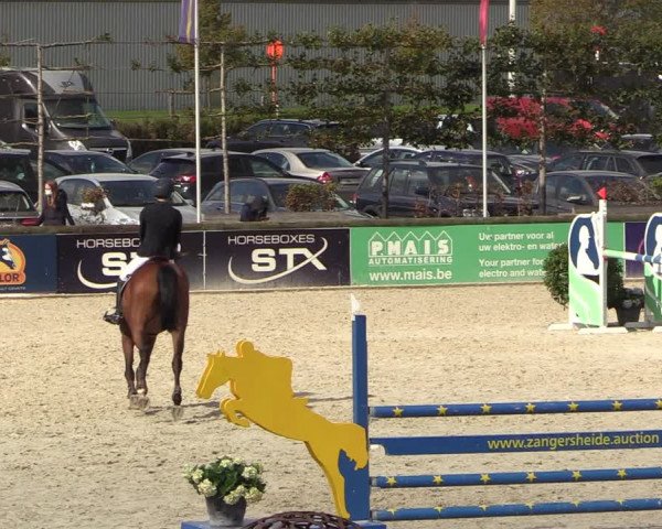 Belgisch Kampioenschap 4-5 Jarigen Paarden