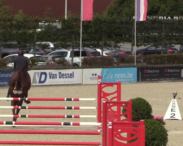 Belgisch Kampioenschap 4-5 Jarigen Paarden