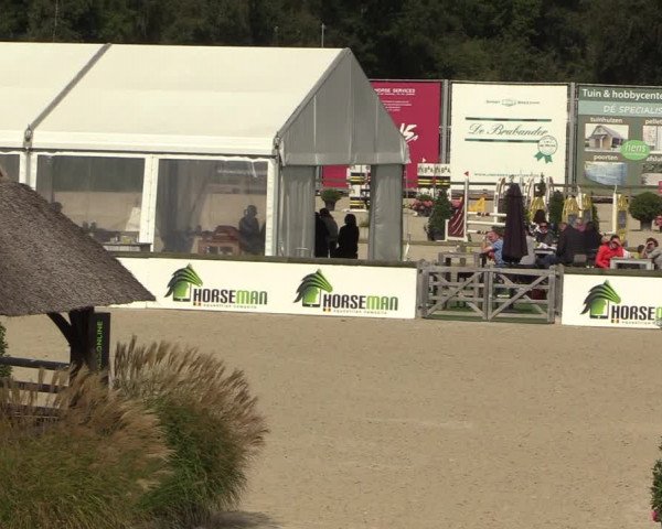Belgisch Kampioenschap 4-5 Jarigen Paarden