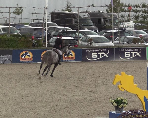 Belgisch Kampioenschap 4-5 Jarigen Paarden