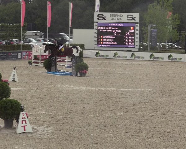 Belgisch Kampioenschap 4-5 Jarigen Paarden
