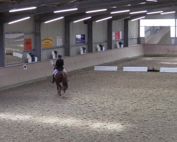 Reitturnier Ahaus 2020