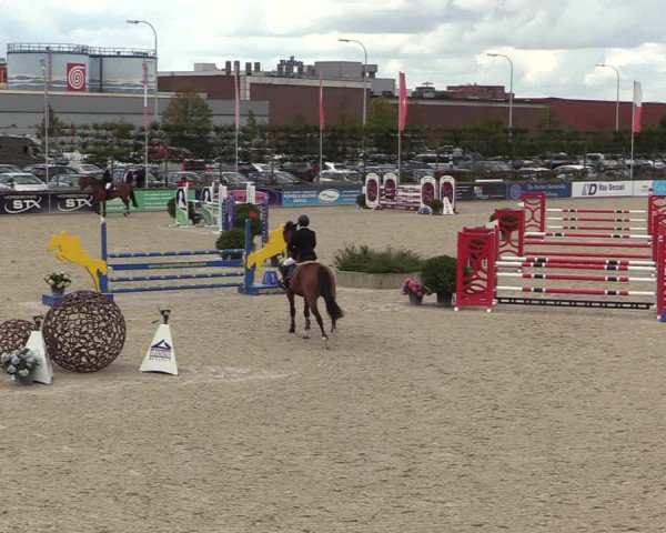 Belgisch Kampioenschap 4-5 Jarigen Paarden