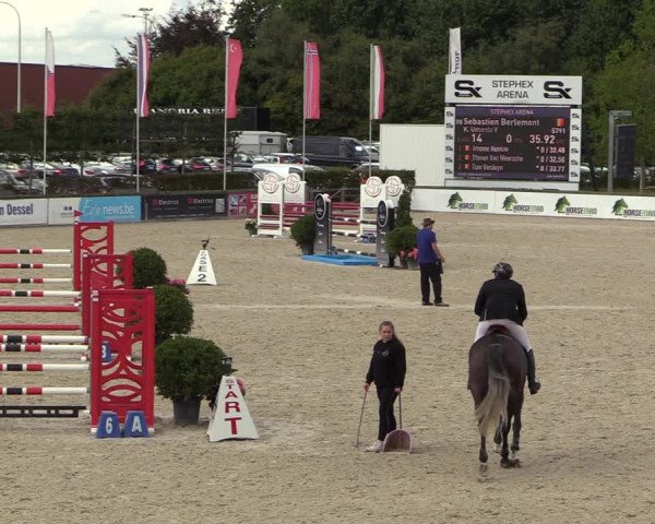 Belgisch Kampioenschap 4-5 Jarigen Paarden