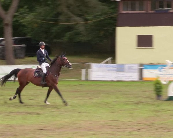 Reitturnier Pasewalk 2020
