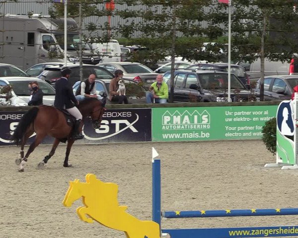 Belgisch Kampioenschap 4-5 Jarigen Paarden