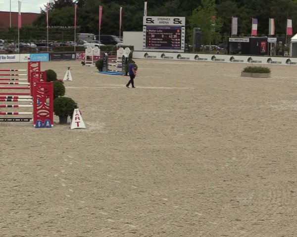 Belgisch Kampioenschap 4-5 Jarigen Paarden