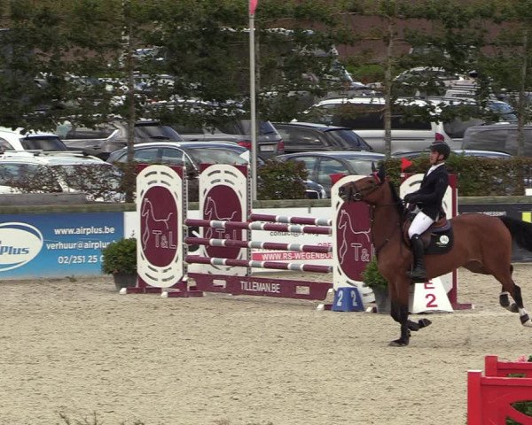 Belgisch Kampioenschap 4-5 Jarigen Paarden