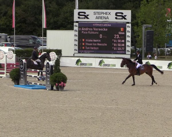 Belgisch Kampioenschap 4-5 Jarigen Paarden