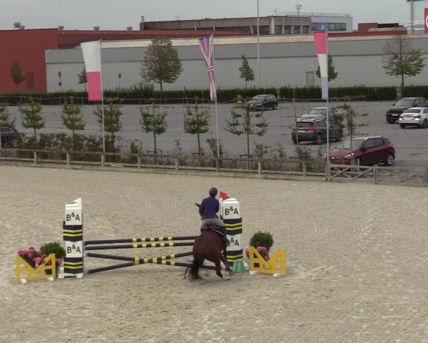 Gouden Laars - Azelhof - Lier 2020