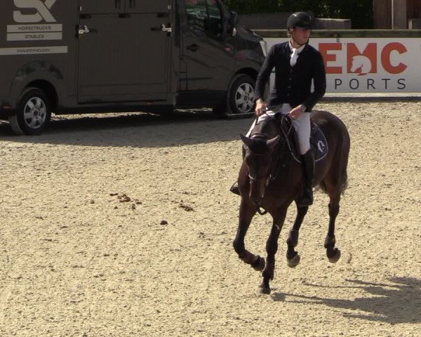 Belgisch Kampioenschap 4-5 Jarigen Paarden