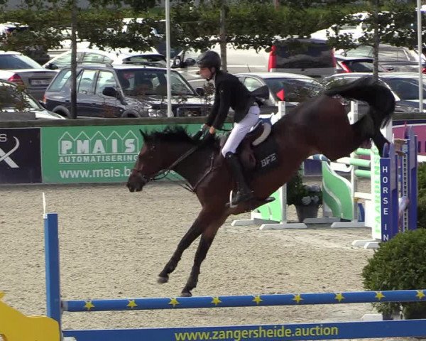 Belgisch Kampioenschap 4-5 Jarigen Paarden