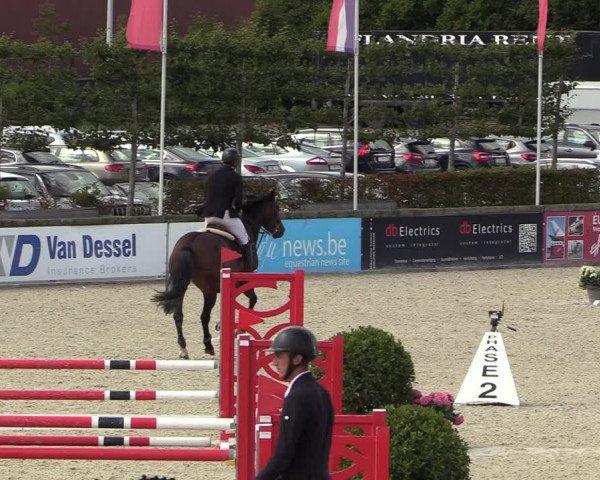 Belgisch Kampioenschap 4-5 Jarigen Paarden