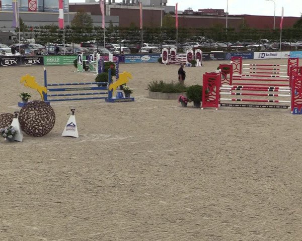 Belgisch Kampioenschap 4-5 Jarigen Paarden