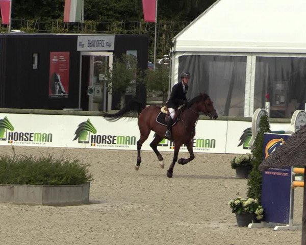 Belgisch Kampioenschap 4-5 Jarigen Paarden