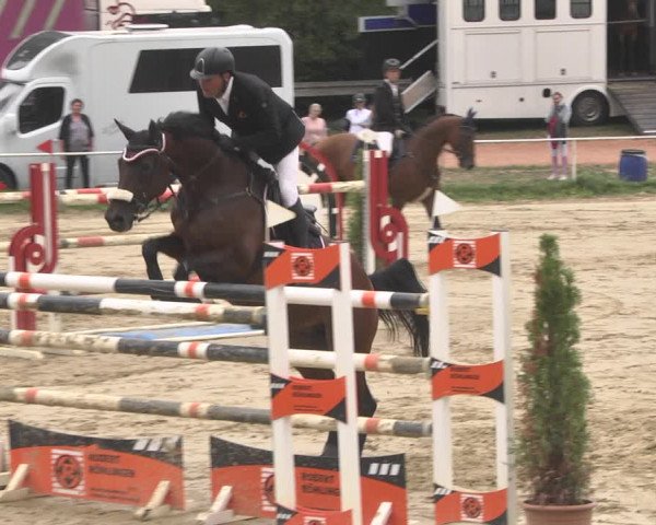 Reitturnier Heiligenwald 2020