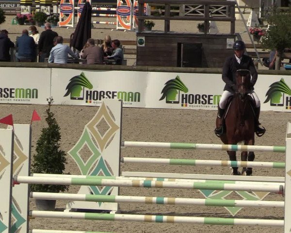 Belgisch Kampioenschap 4-5 Jarigen Paarden