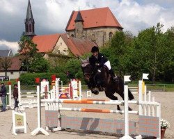 jumper Celeste (Hanoverian, 2003, from Compliment)