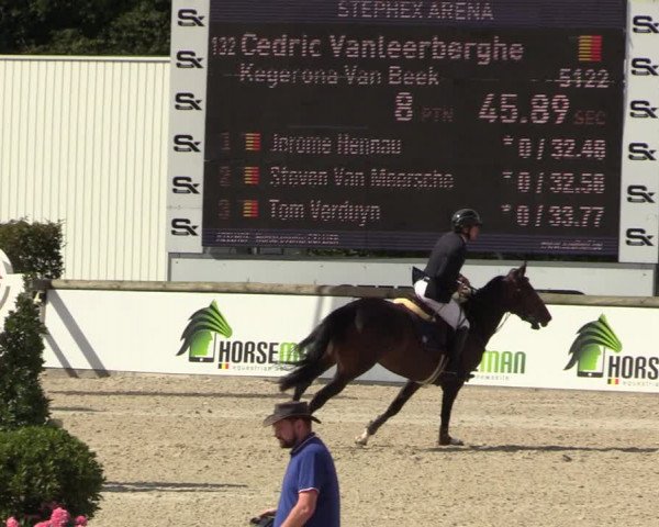 Belgisch Kampioenschap 4-5 Jarigen Paarden