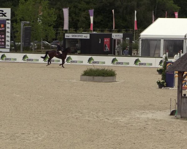 Belgisch Kampioenschap 4-5 Jarigen Paarden