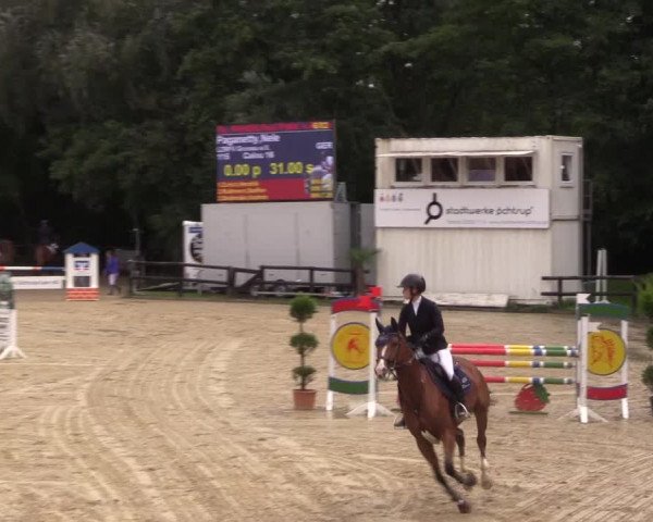 Reitturnier Ochtrup 2020
