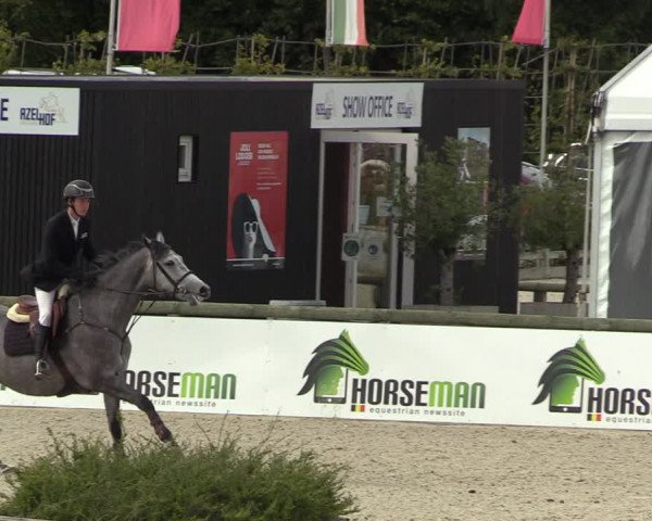 Belgisch Kampioenschap 4-5 Jarigen Paarden