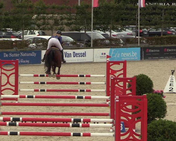 Belgisch Kampioenschap 4-5 Jarigen Paarden