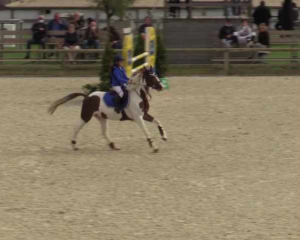 Gouden Laars - Azelhof - Lier 2020