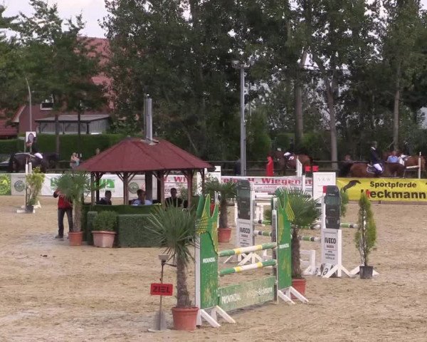 Reitturnier Ochtrup 2020