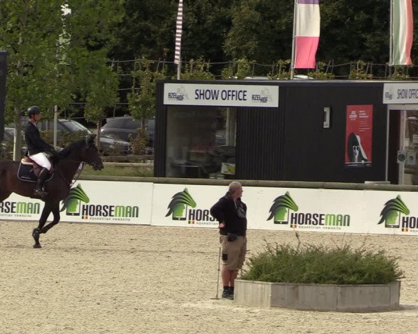 Belgisch Kampioenschap 4-5 Jarigen Paarden