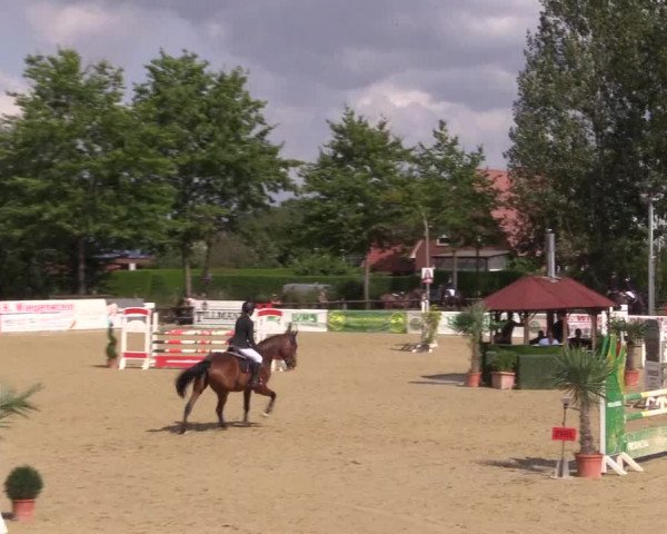Reitturnier Ochtrup 2020