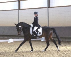 dressage horse Nobeltje (German Riding Pony, 2009, from Night-Power)