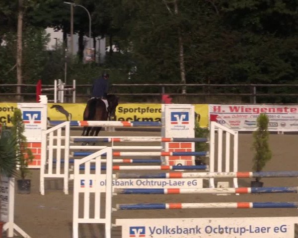 Reitturnier Ochtrup 2020