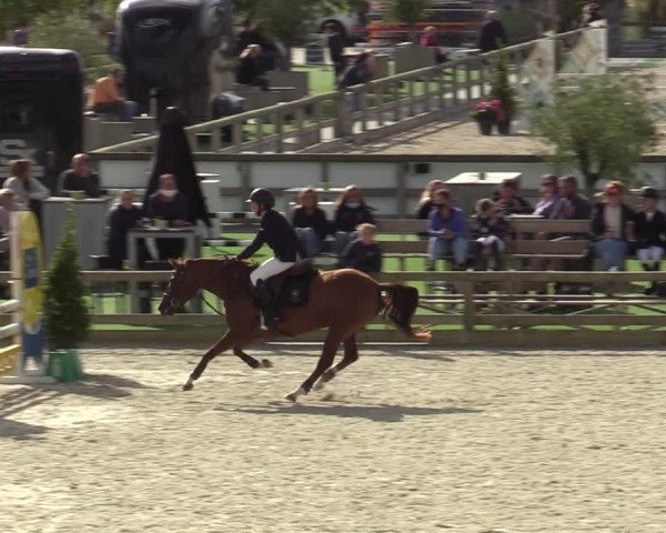 Gouden Laars - Azelhof - Lier 2020