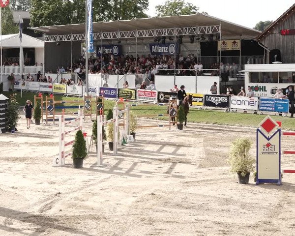 Reitturnier Humlikon 2020