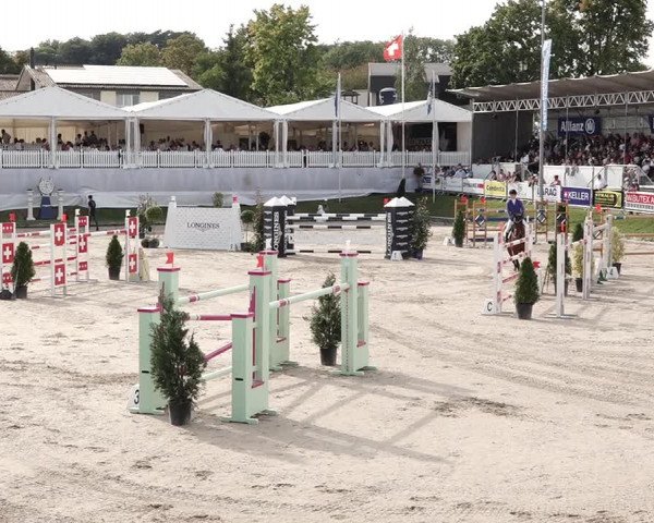 Reitturnier Humlikon 2020