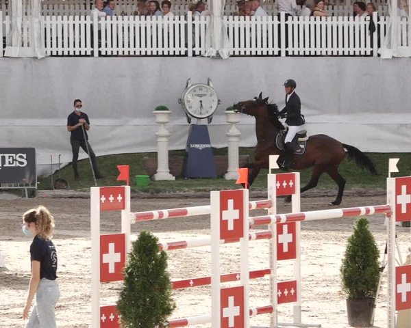 Reitturnier Humlikon 2020