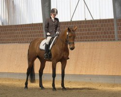 dressage horse Fabiana 24 (Westphalian, 1998, from Florestan I)