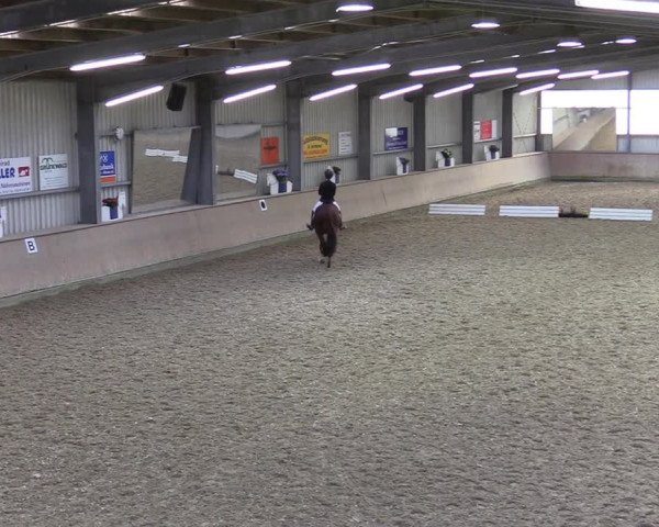 Reitturnier Ahaus 2020