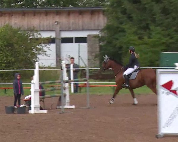 Reitturnier Demantsfürth/Mfr. 2020