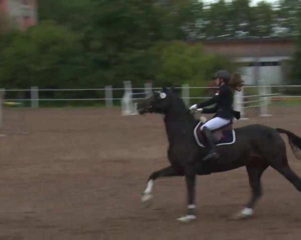 Reitturnier Demantsfürth/Mfr. 2020
