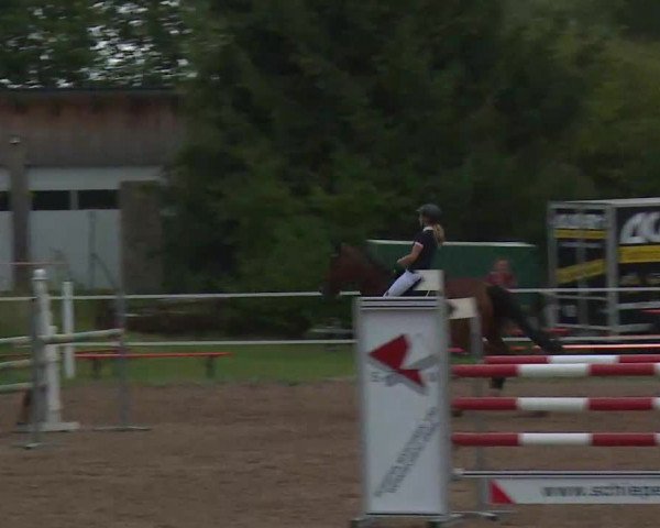 Reitturnier Demantsfürth/Mfr. 2020