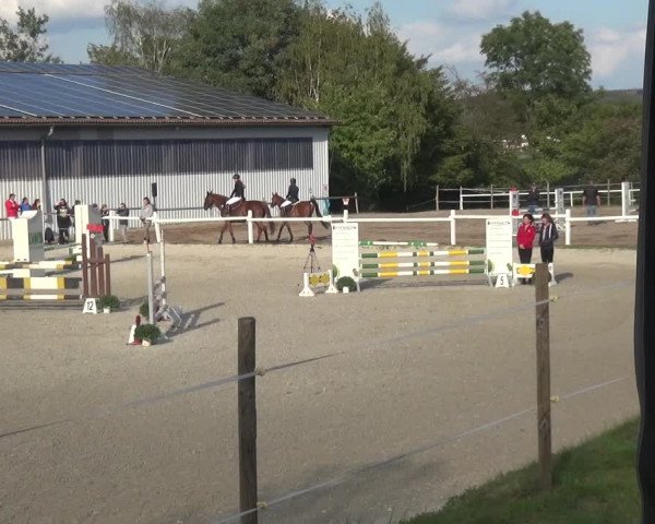 Reitturnier Eitorf-Lindscheid 2020