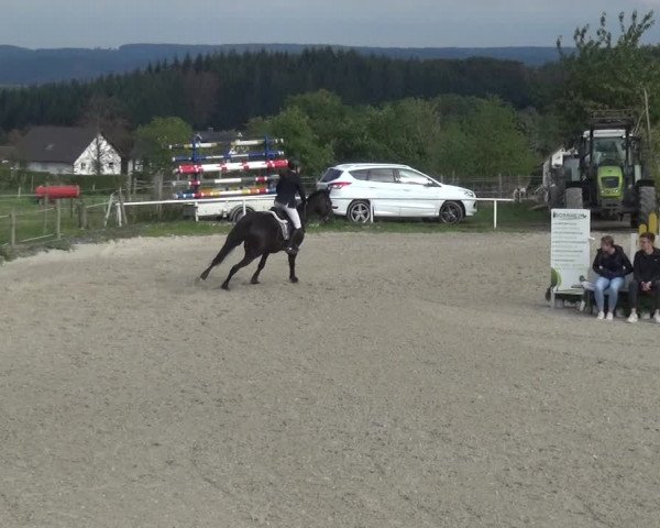 Reitturnier Eitorf-Lindscheid 2020