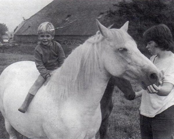 broodmare Prescott Winsome (New Forest Pony, 1959, from Prescott Junius)