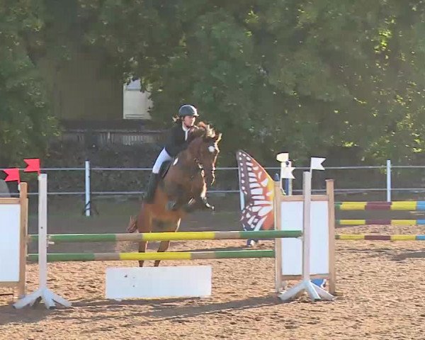 Reitturnier Demantsfürth/Mfr. 2020