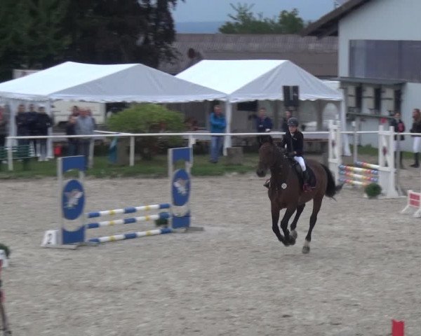 Reitturnier Eitorf-Lindscheid 2020