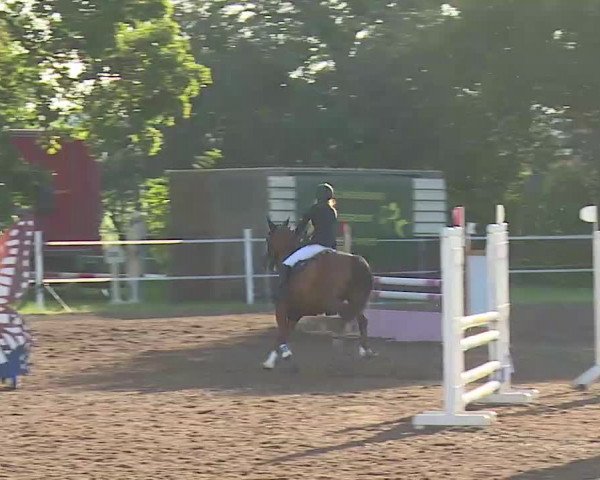 Reitturnier Demantsfürth/Mfr. 2020