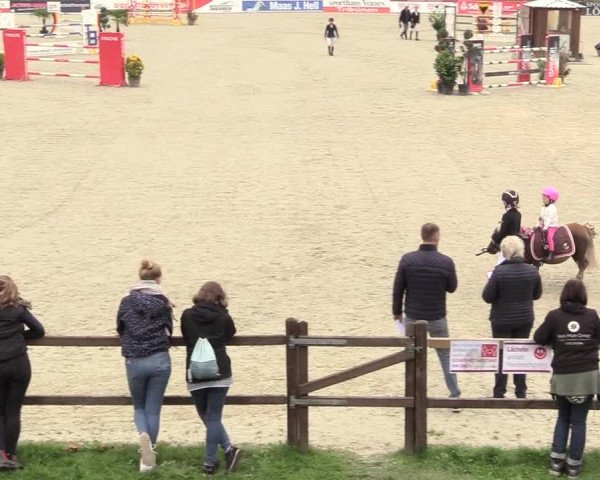 Reitturnier Westergellersen 2021