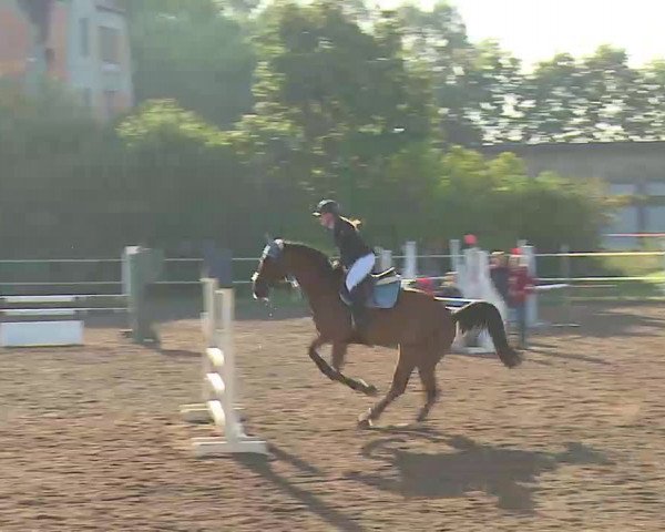 Reitturnier Demantsfürth/Mfr. 2020